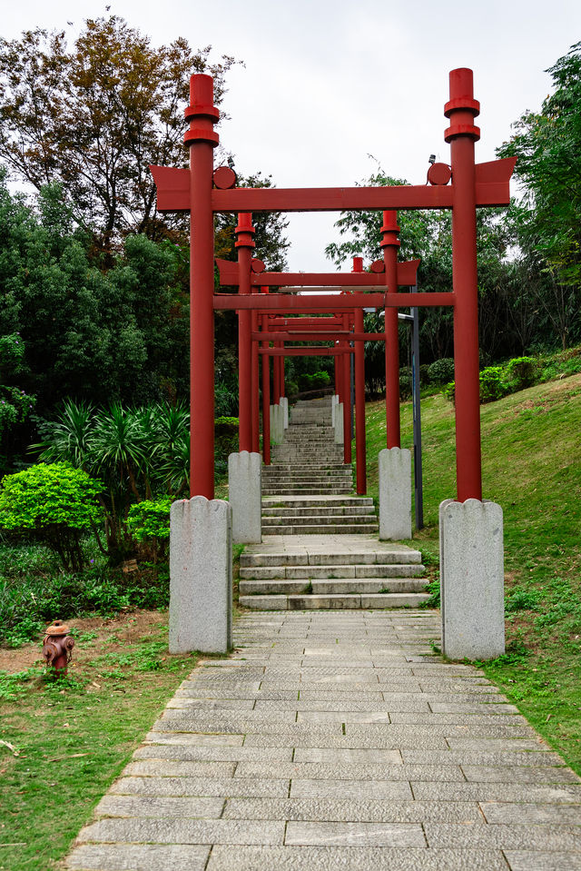 福州高蓋山公園 30分鐘登頂俯瞰福州城！