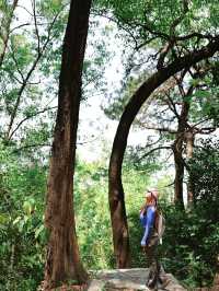 返工攰咗就去行山啦～廣州市區小眾行山路線～