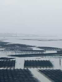 上海出發週末霞浦小記：橘色東壁 榕楓光影