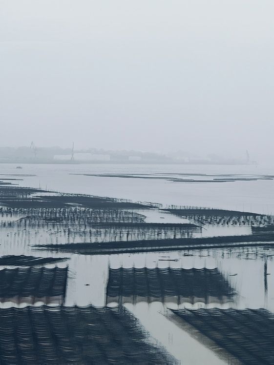 上海出發週末霞浦小記：橘色東壁 榕楓光影