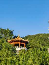 三亞5日遊 玩轉熱帶天堂