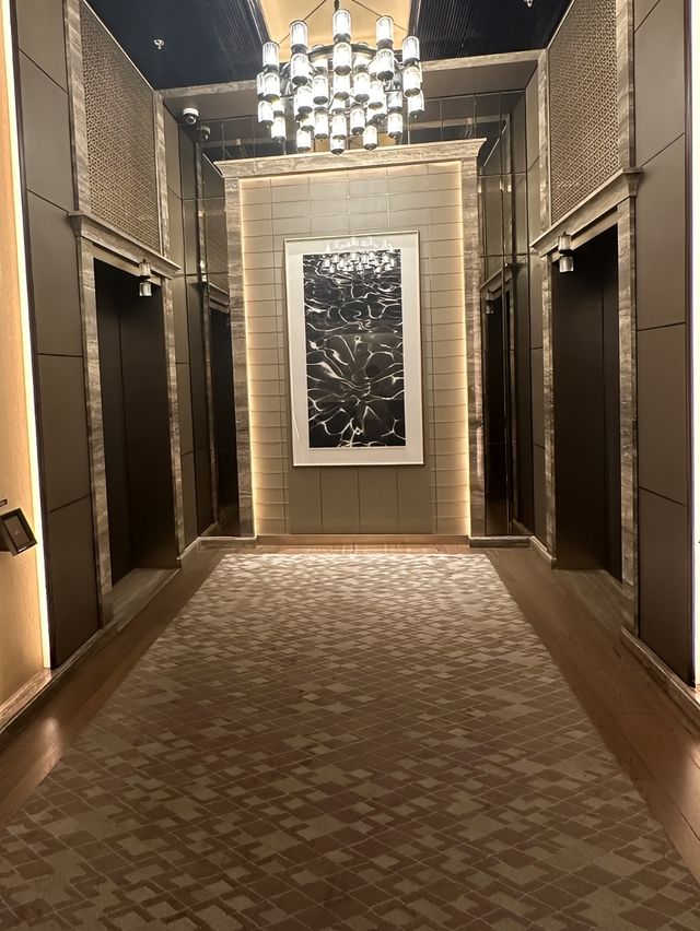 南京麗思卡爾頓酒店     可俯瞰南京城