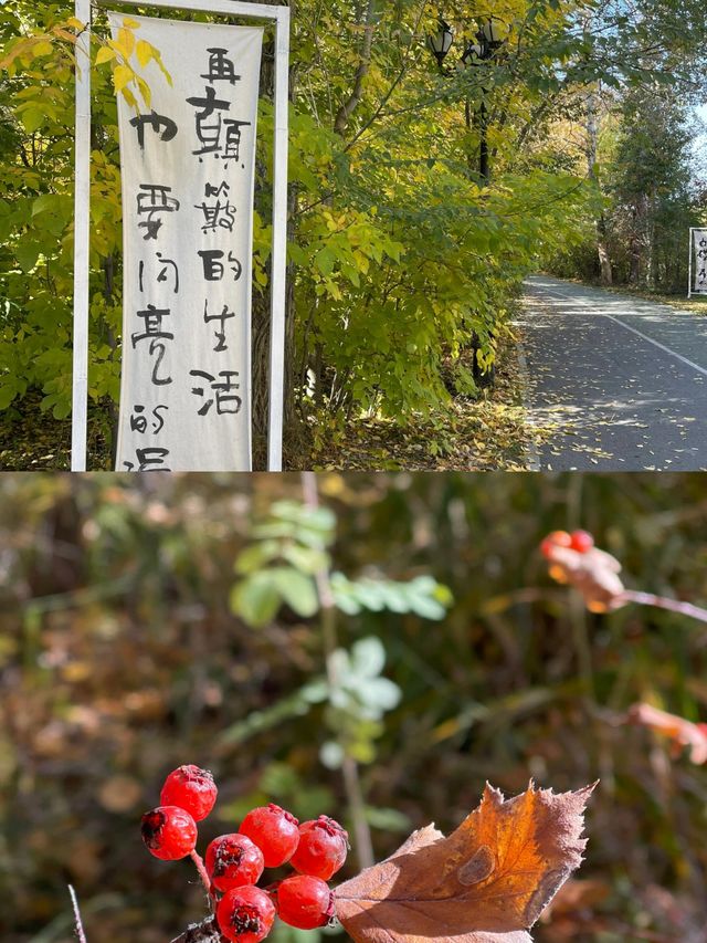 康樂一日遊，最強游泳攻略嚟啦
