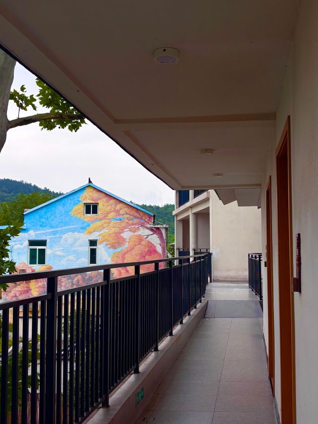 去過咁多城市，最最懷念嘅係<少間.梧桐下民宿>
