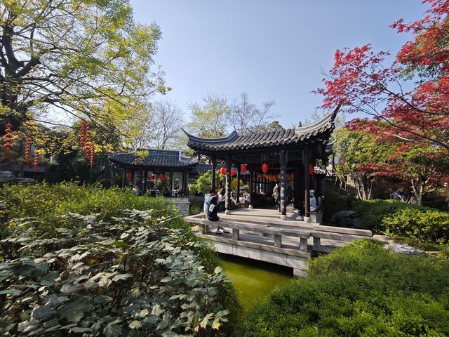 泰州喬園丨呢座500歲嘅小眾園林，點解會被遺忘！