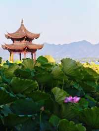 蘇杭四天三晚只需600+的旅行