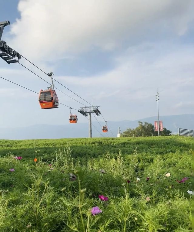 夏日帶娃避暑首選！入住崇禮太舞帕思頓嘅清涼世界！