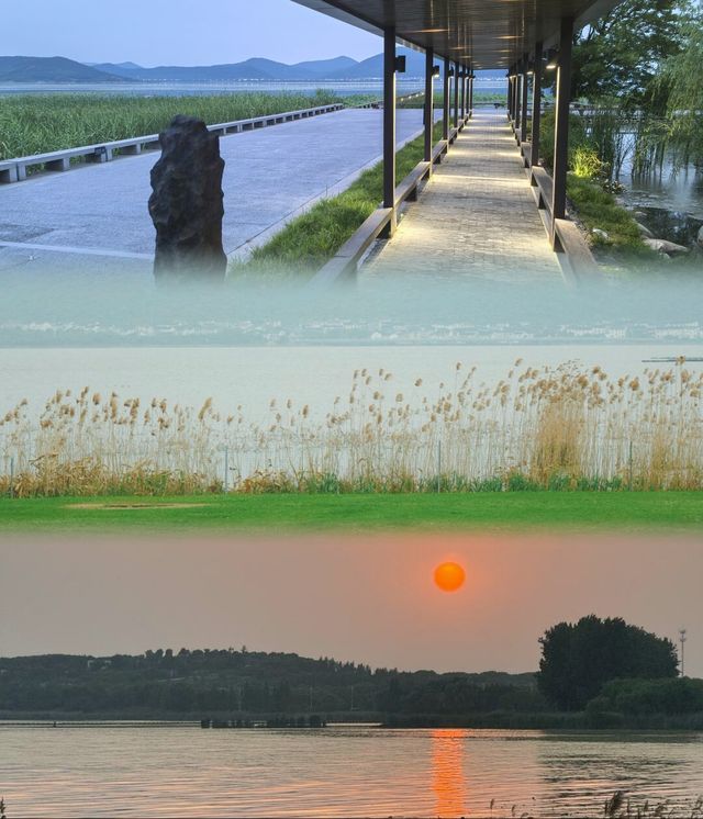 度假感唔輸海島｜蘇州呢間親子酒店太正啦