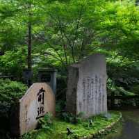 大阪Forest park森林公園🌲！都市綠肺秘境全攻略，吸氧放鬆必衝！