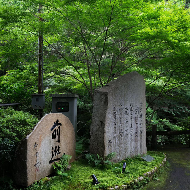 大阪Forest park森林公園🌲！都市綠肺秘境全攻略，吸氧放鬆必衝！