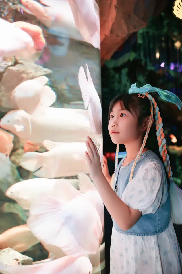 帶住小朋友去長隆飛船樂園，這筆錢千萬唔好慳！