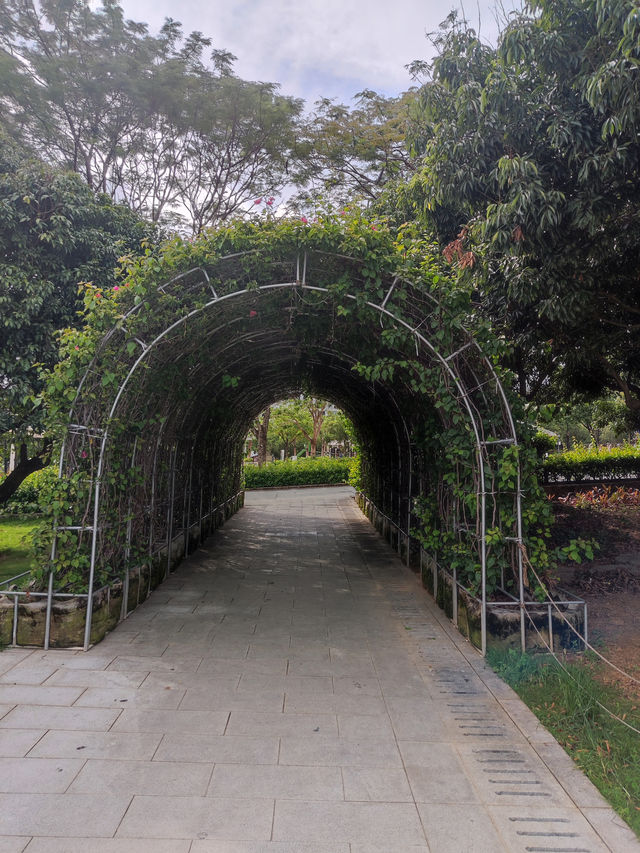 《河畔夢境，蔚徕的治癒時光》