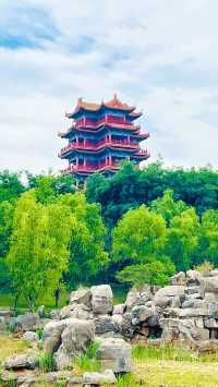 夏日暢遊煙台牟平沁水河口國家濕地公園