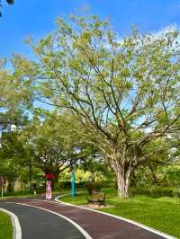 炎炎夏日  就嚟三亞  避暑度假 快樂逍遙
