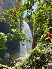 A Hidden Treasure in Hainan!🌿