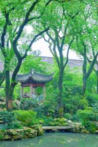 探索江南古建瑰寶！天一閣文化之旅