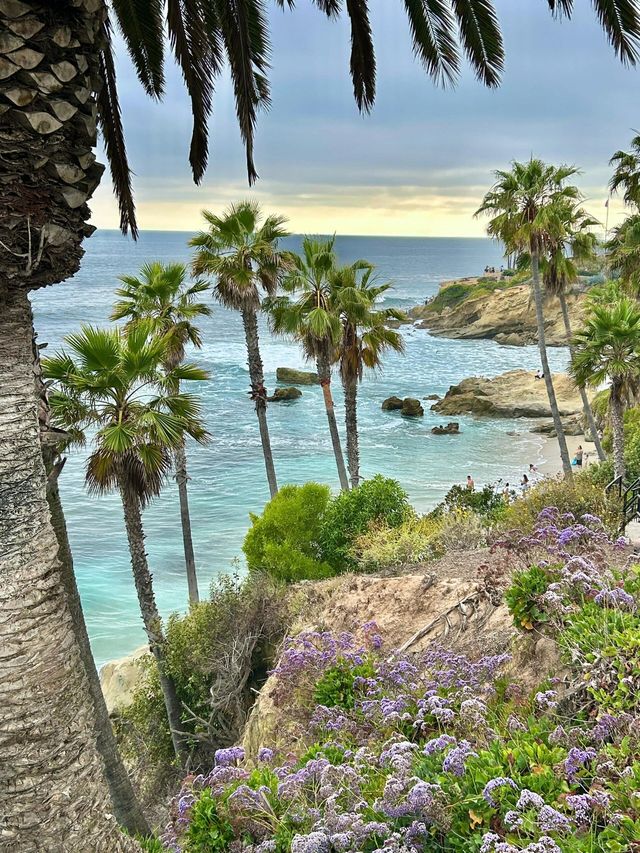 Laguna Beach 絕美打卡攻略！隨手拍都係大片視覺感