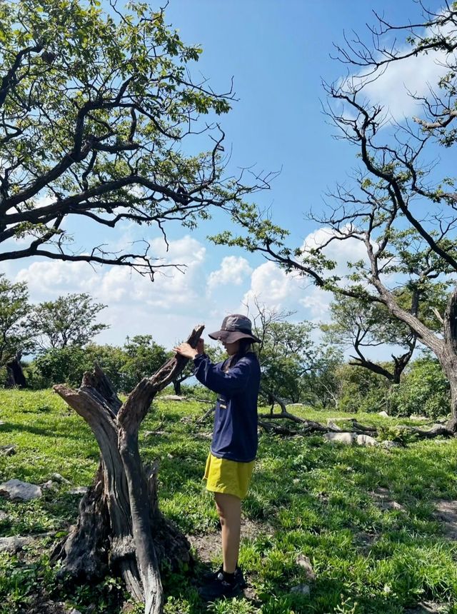 本溪｜淌石溝-東大崗-刺花溝