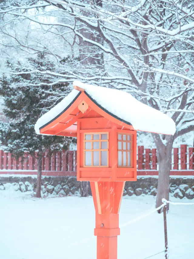 北海道｜一定要收藏嘅旅遊交通攻略～