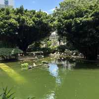 Hong Kong Day 1 of 2 Itinerary!!
