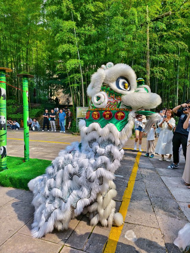 狀態唔好？嚟綠色能量場充電！