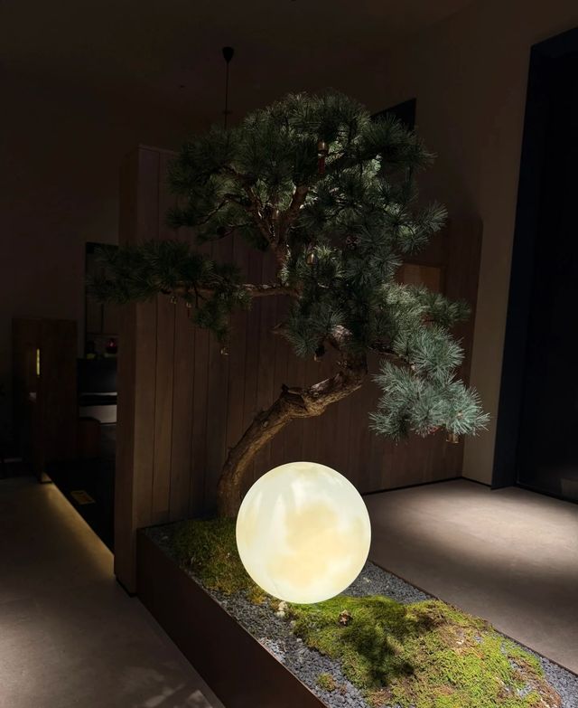 武夷山民宿嘅寶藏推薦