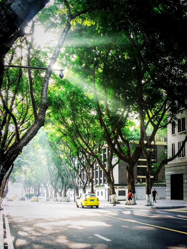 重慶 |  中山四路 |  最美街道