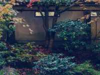 百年和風雅韻】京都南禪寺八千代旅館溫泉私邸記**