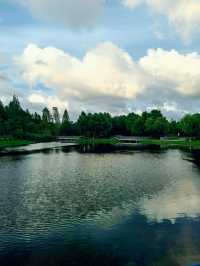 夏日秘境 | 上海浦東秀南公園