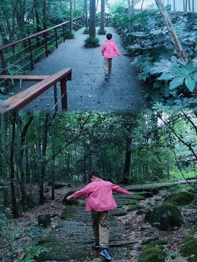 【黃山頂級風景區，但係唔會再嚟！附避坑指南】