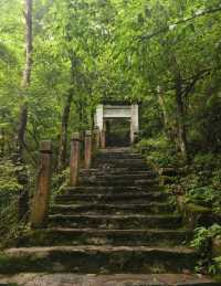 貴州·銅仁梵淨山  仙境雲海