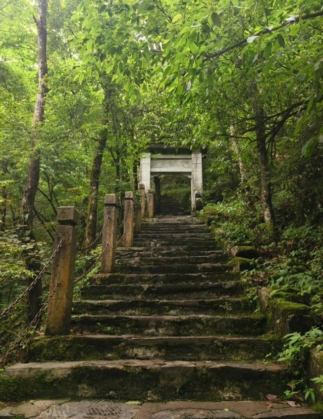 貴州·銅仁梵淨山  仙境雲海