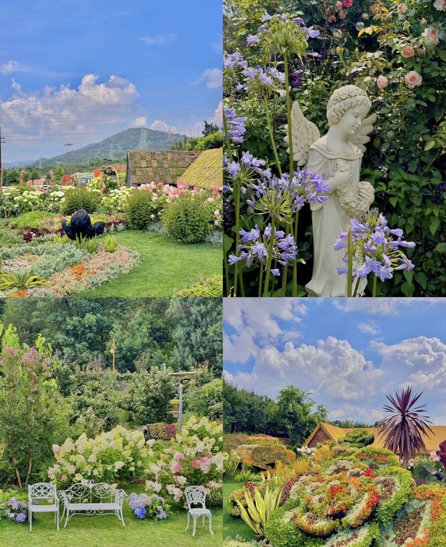 昆明呢度仲係盛花期🪻寶藏花園