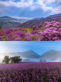 紅池壩住邊度唔會中伏？親測！星空帳篷、雲端木屋…靚到窒息！