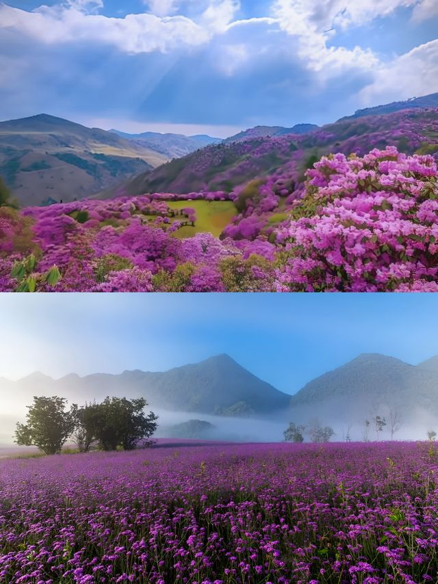 紅池壩住邊度唔會中伏？親測！星空帳篷、雲端木屋…靚到窒息！