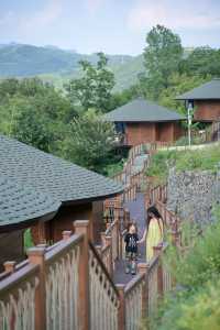 陝南魔幻8D小城慢遊巴厘島同款滑梯民宿
