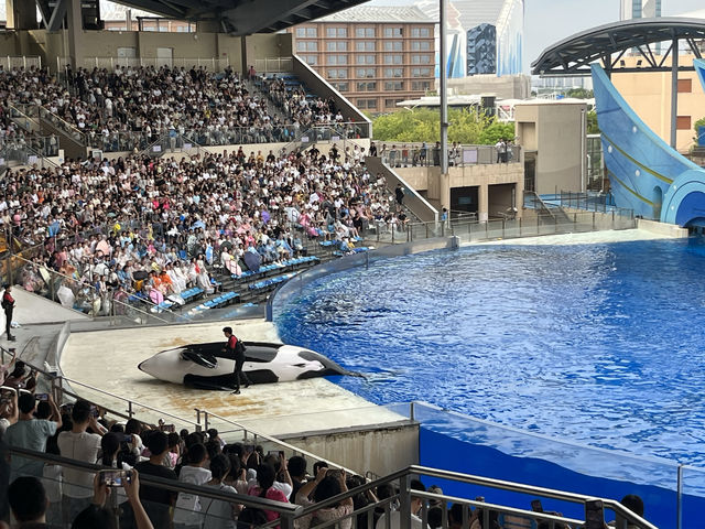 魔都親子遊首選打卡樂高樂園 魔都親子遊首選打卡樂高樂園