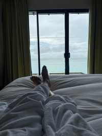 Best House Reef Snorkeling at NH Collection