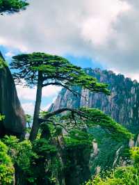 登頂黃山獨家攻略！雲霧奇松打卡指南
