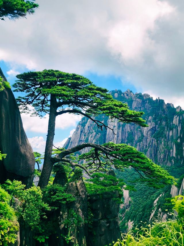 登頂黃山獨家攻略！雲霧奇松打卡指南