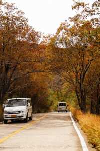 吉林旅行指南｜大美長白山，心形天池愛意具象化