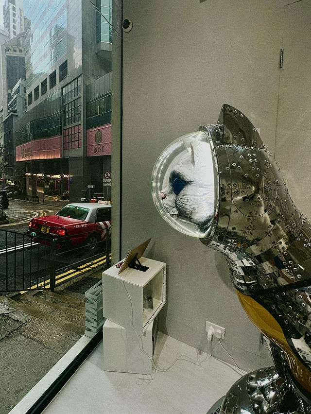 Гонконг (Hong Kong