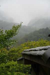 青城山私藏侘寂風民宿｜躲進山凹凹裡聽霧看林