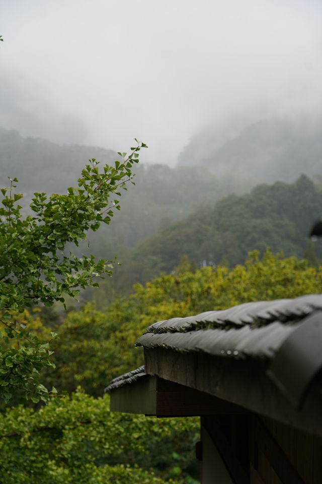 青城山私藏侘寂風民宿｜躲進山凹凹裡聽霧看林