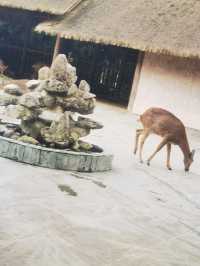 走，打卡金沙遺址博物館