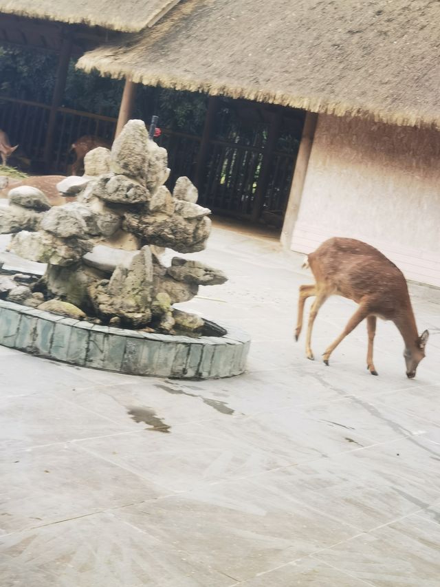 走，打卡金沙遺址博物館