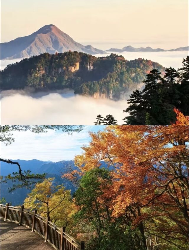 四川秋日封神！光霧山34萬畝彩林紅瘋了！