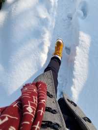 嵩山雪景太絕了錯過等一年！一秒穿越冰雪仙境