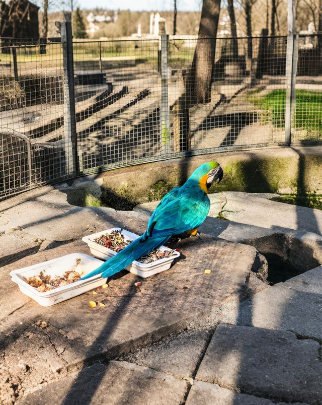 【中南百草園全旅行攻略】一次玩轉動物+植物+遊樂園的夢幻之旅