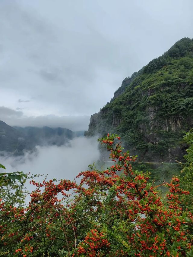 邵通暢遊指南